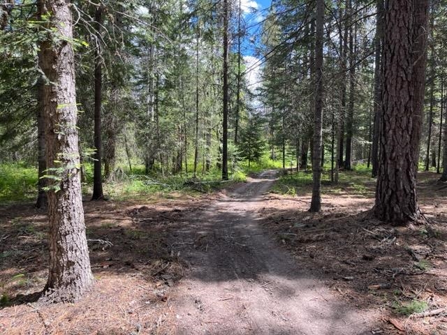 72 Teal Road Usk, WA 99180 - Photo 35 of 50