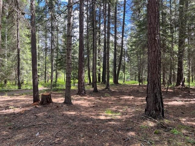 72 Teal Road Usk, WA 99180 - Photo 36 of 50