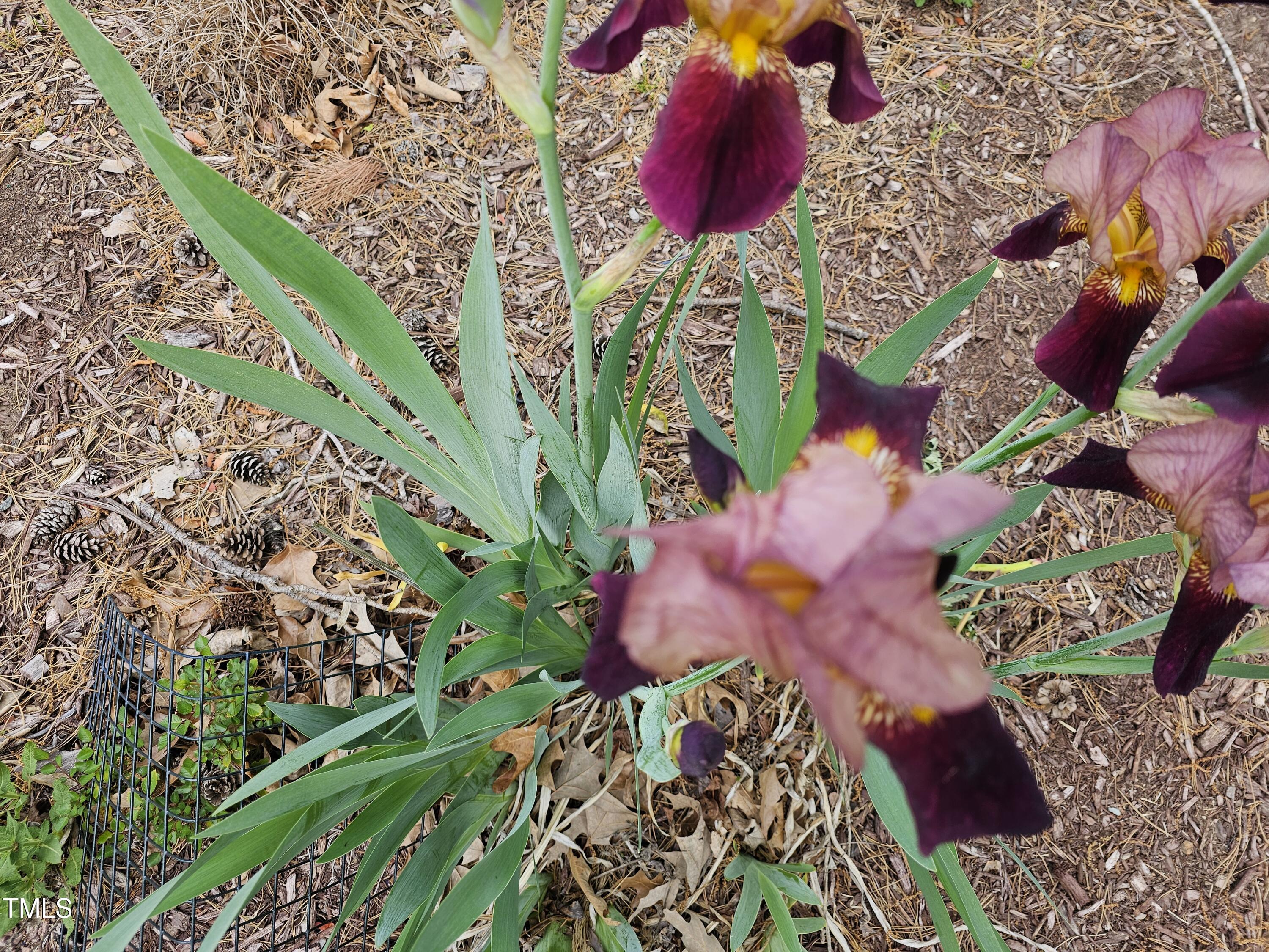 301 Kinsale Drive Durham, NC 27707 - Photo 61 of 68 20240416_135411