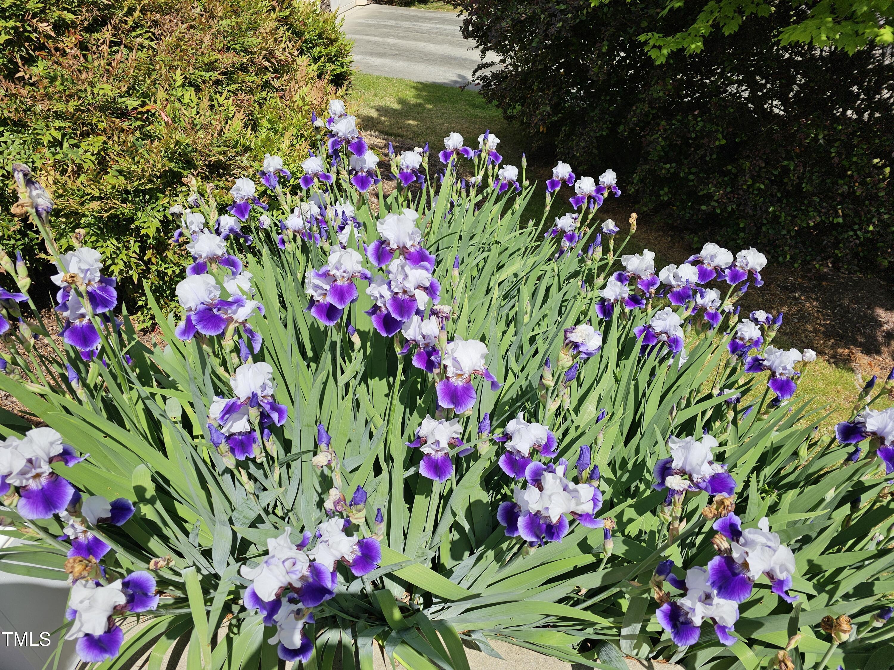 301 Kinsale Drive Durham, NC 27707 - Photo 62 of 68 20240425_150839