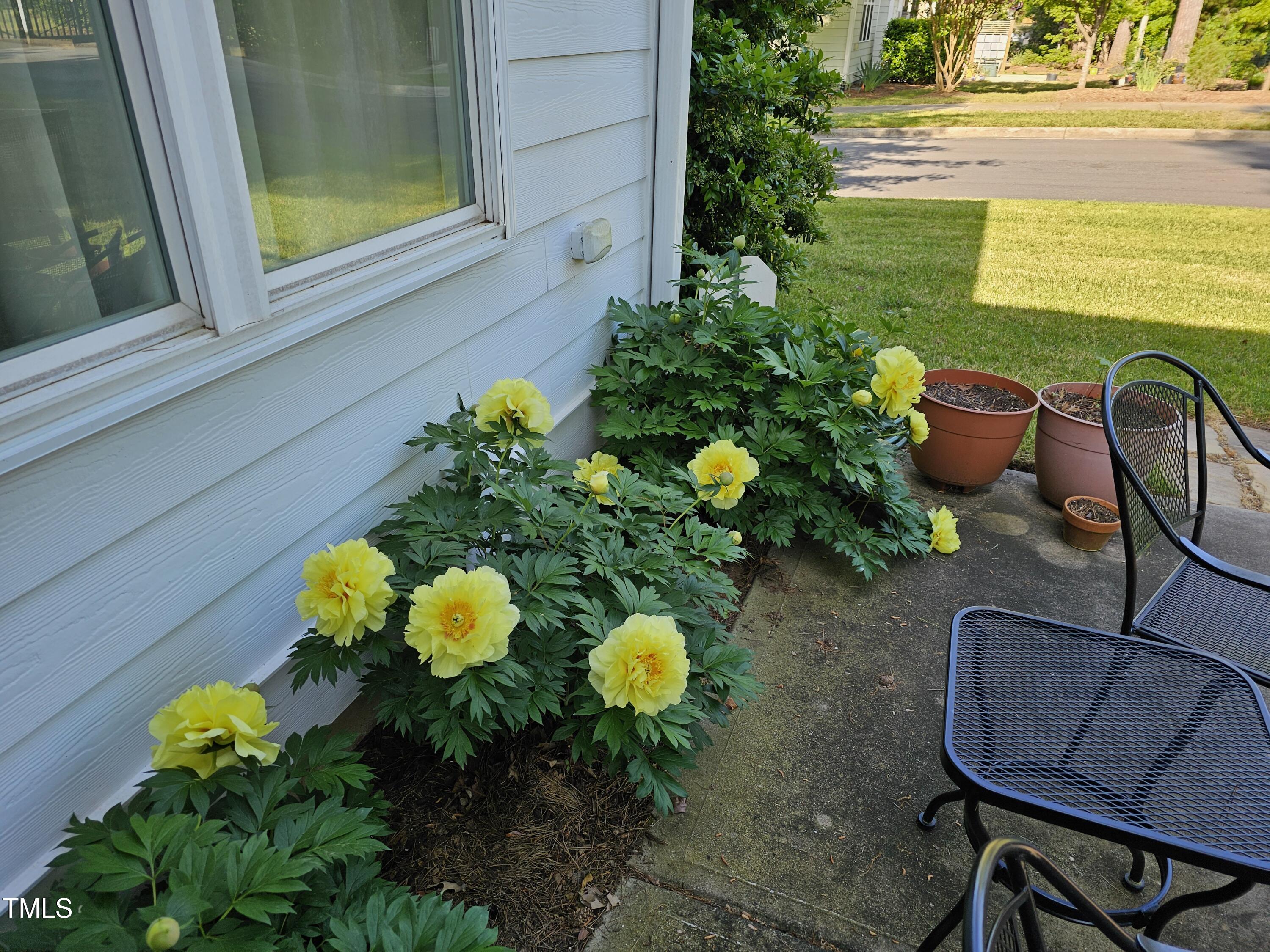 301 Kinsale Drive Durham, NC 27707 - Photo 63 of 68 a vase of flowers sitting on a table with a bookshelf