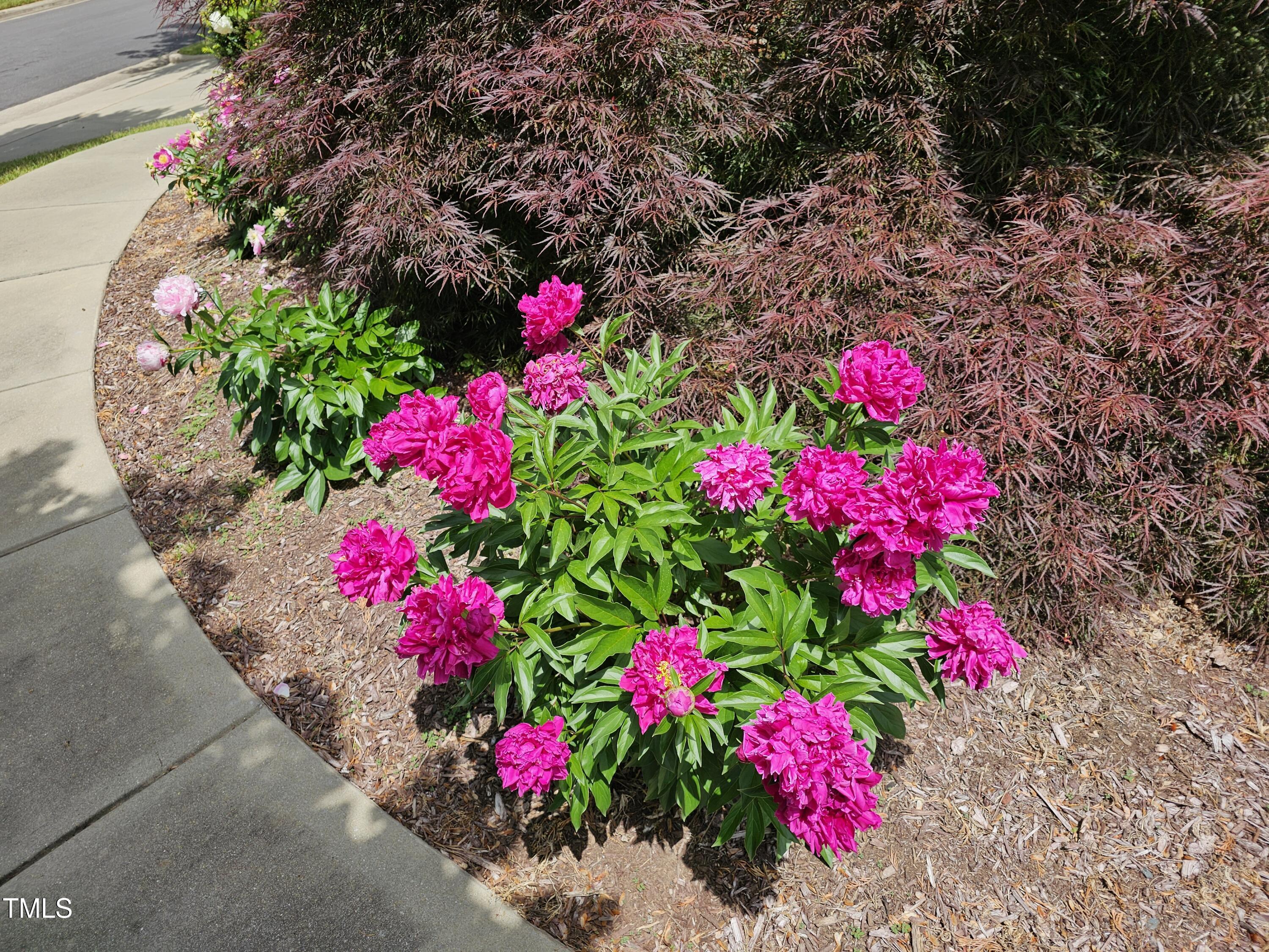 301 Kinsale Drive Durham, NC 27707 - Photo 64 of 68 20240428_122851