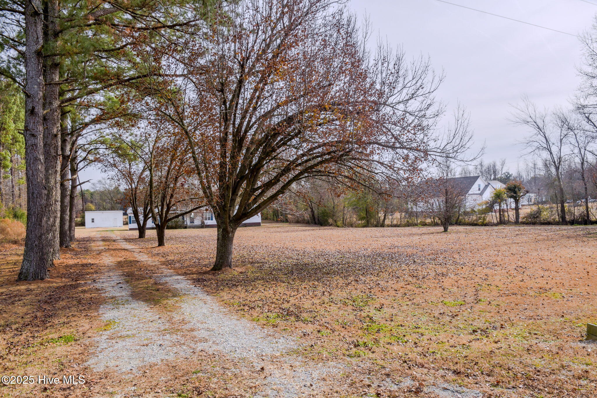 174 Doc Brown Road Magnolia, NC 28453 - Photo 46 of 46 46-web-or-mls-174 Doc Brown Rd-46