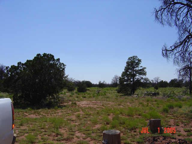 0 North S Rim Ranch Road, Unit 1 Williams, AZ 86046 - Photo 1 of 3 Primary Photo