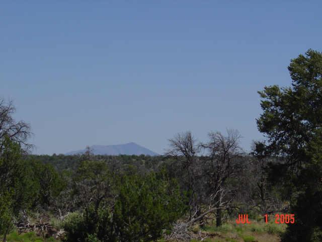 0 North S Rim Ranch Road, Unit 1 Williams, AZ 86046 - Photo 2 of 3 Additional Photo