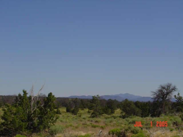 0 North S Rim Ranch Road, Unit 1 Williams, AZ 86046 - Photo 3 of 3 Additional Photo