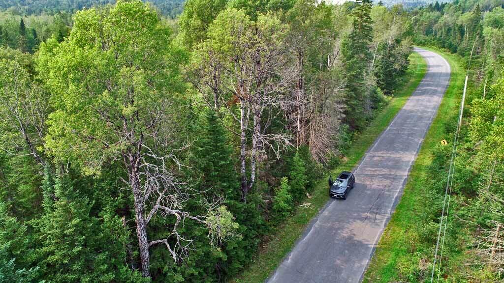 Lot 121 East Road New Sweden, ME 04762 - Photo 18 of 29 new-sweden-east-rd-land