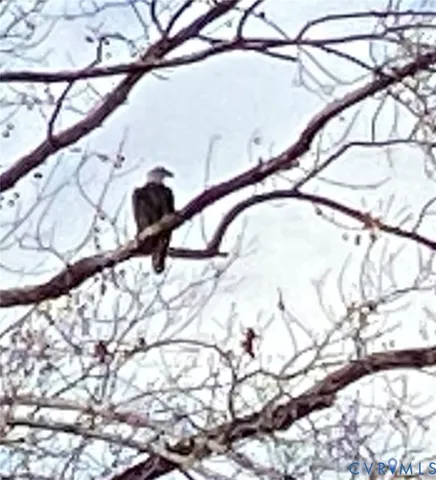 $1,750 | 7622 Yarmouth Drive, Unit B, Richmond, VA 23225