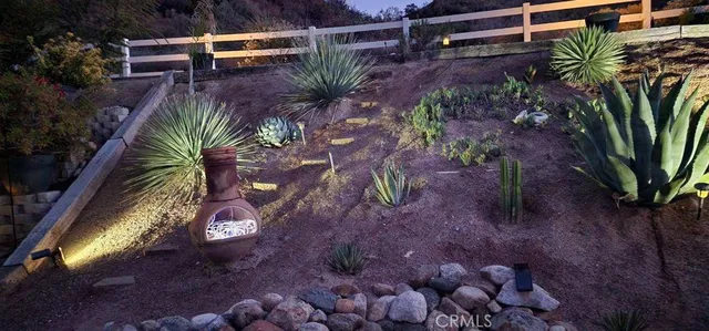 a view of backyard with plants and trees