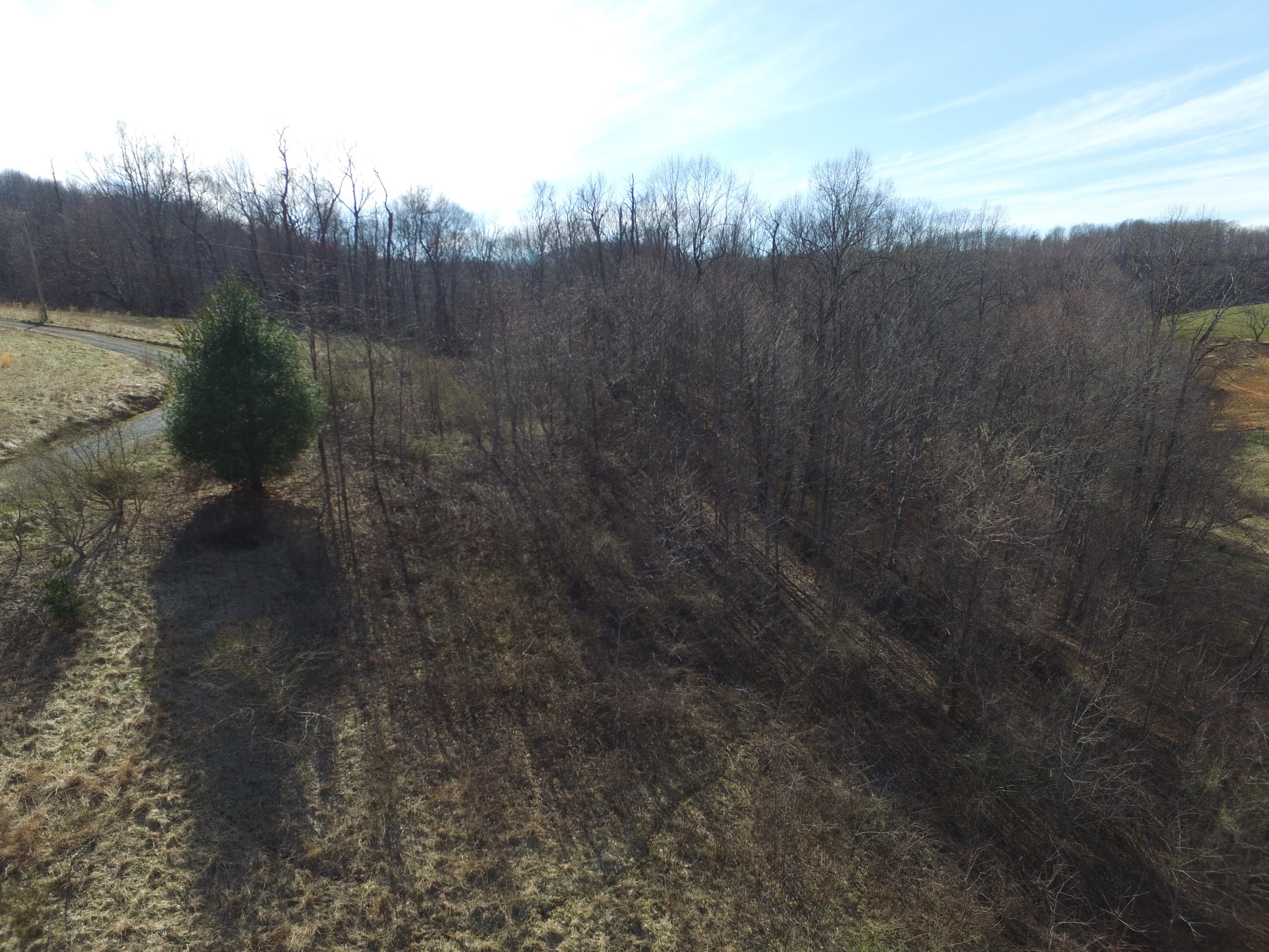 0 Union School Road Southwest Floyd, VA 24091 - Photo 2 of 4 a view of a forest with a forest