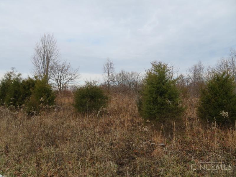 7730 Beavers Ridge Road Piketon, OH 45661 - Photo 3 of 15
