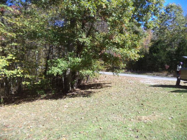 1095 Valley View Road Ashland City, TN 37015 - Photo 6 of 10 Gallery Image 6