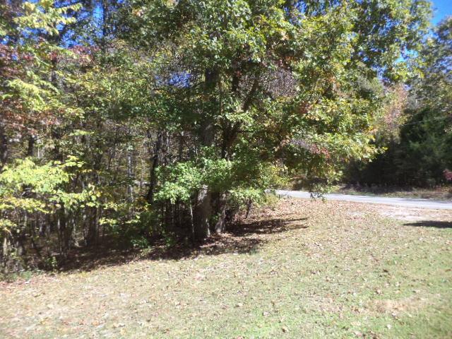 1095 Valley View Road Ashland City, TN 37015 - Photo 7 of 10 Gallery Image 7