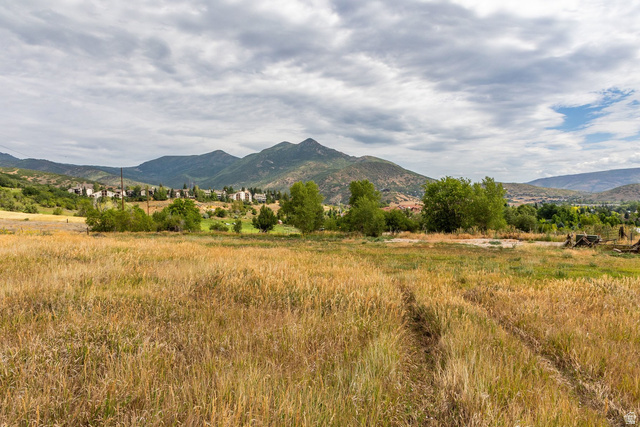 950 Swiss Alpine Road Midway, UT 84049 - Photo 5 of 21 Gallery Image 5