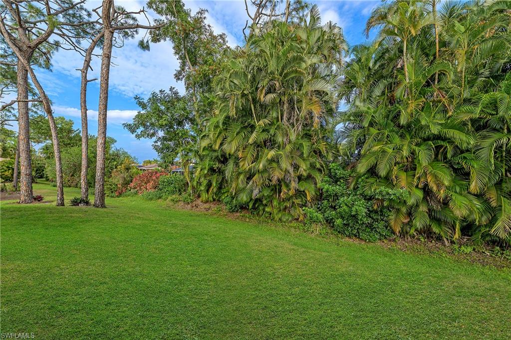 1007 Pine Isle Lane, Unit 1007 Naples, FL 34112 - Photo 16 of 20 a view of a lush green space