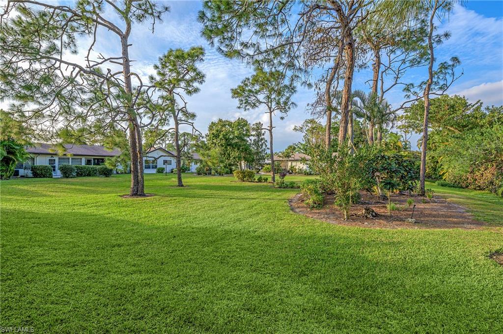 1007 Pine Isle Lane, Unit 1007 Naples, FL 34112 - Photo 17 of 20 a view of a park with large trees