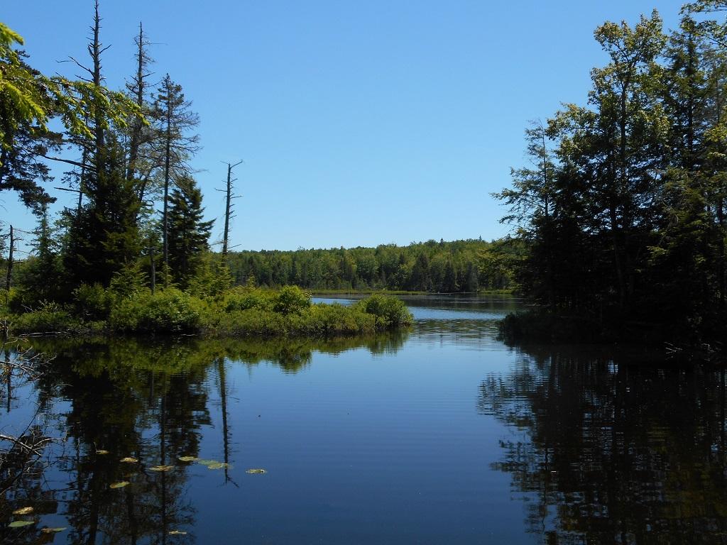 M9-l14 Drake Pond Road Jackson, ME 04921 - Photo 10 of 16 Land