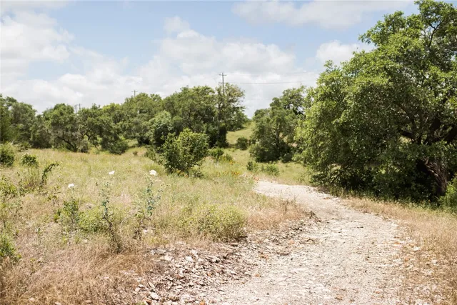 a view of a yard with a tree
