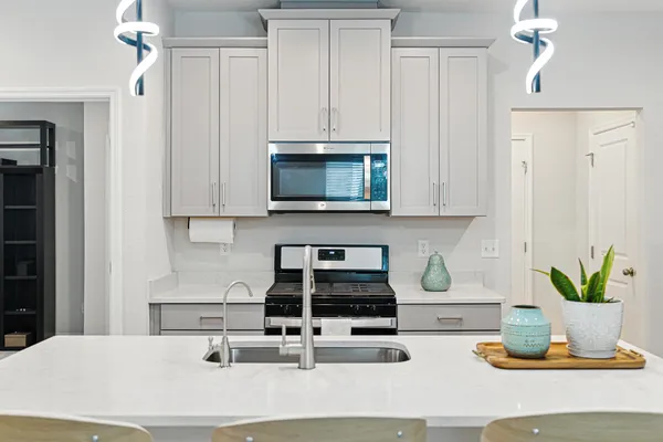 a kitchen with a appliances a cabinets and a potted plant