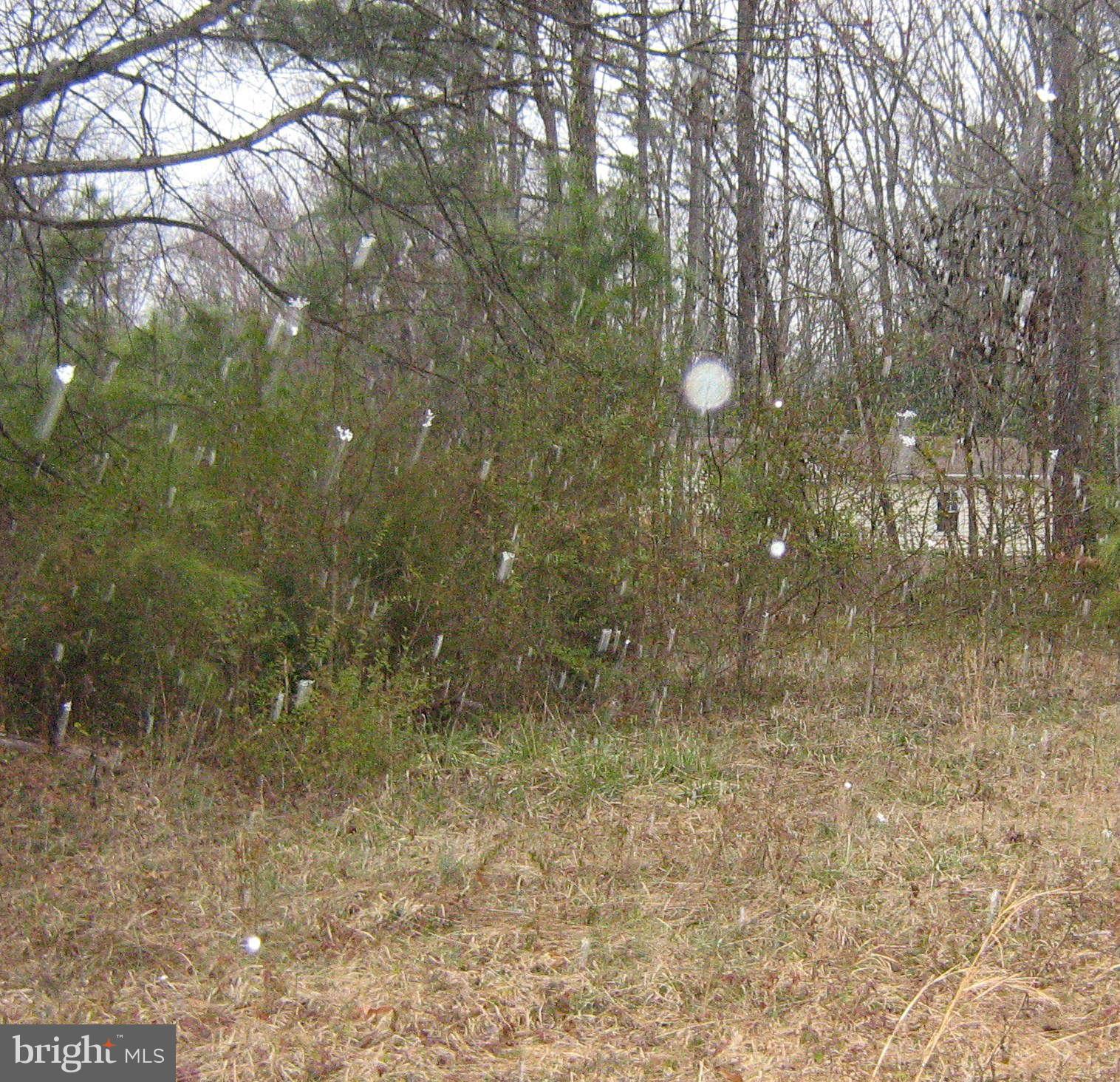 6 Wildwood Road Colonial Beach, VA 22443 - Photo 1 of 7 Exterior (General)