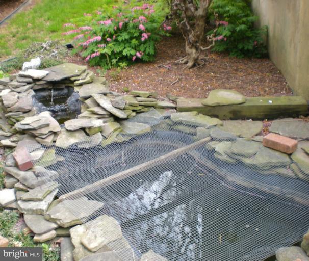 11710 Galt Avenue Silver Spring, MD 20902 - Photo 11 of 25 Pond