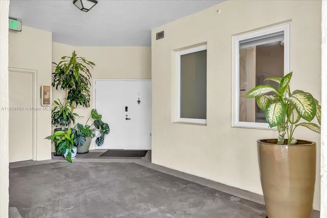 a potted plant sitting in front of a window