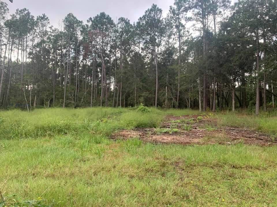 26348 Feely Road Elberta, AL 36530 - Photo 6 of 43