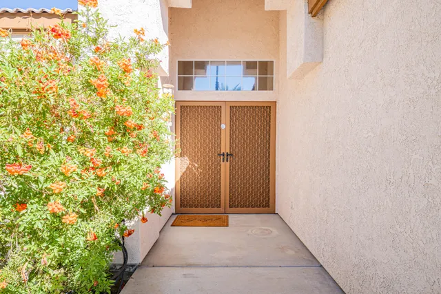 a view of a swimming pool with a bench
