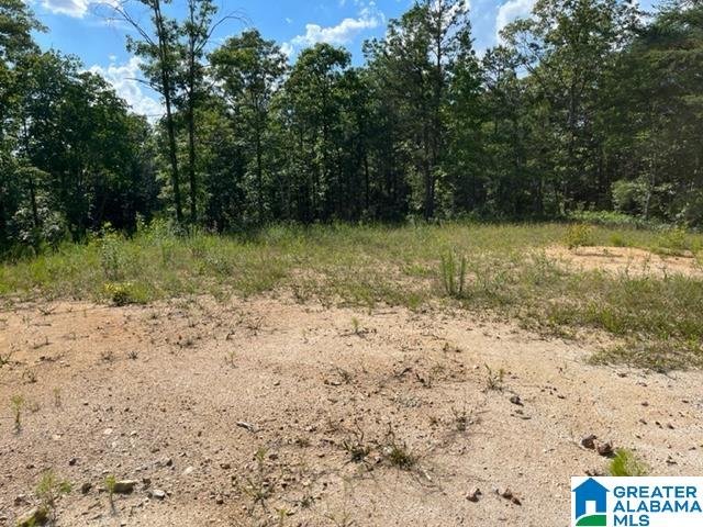 8134 Clairmont Springs Road Lineville, AL 36266 - Photo 23 of 36