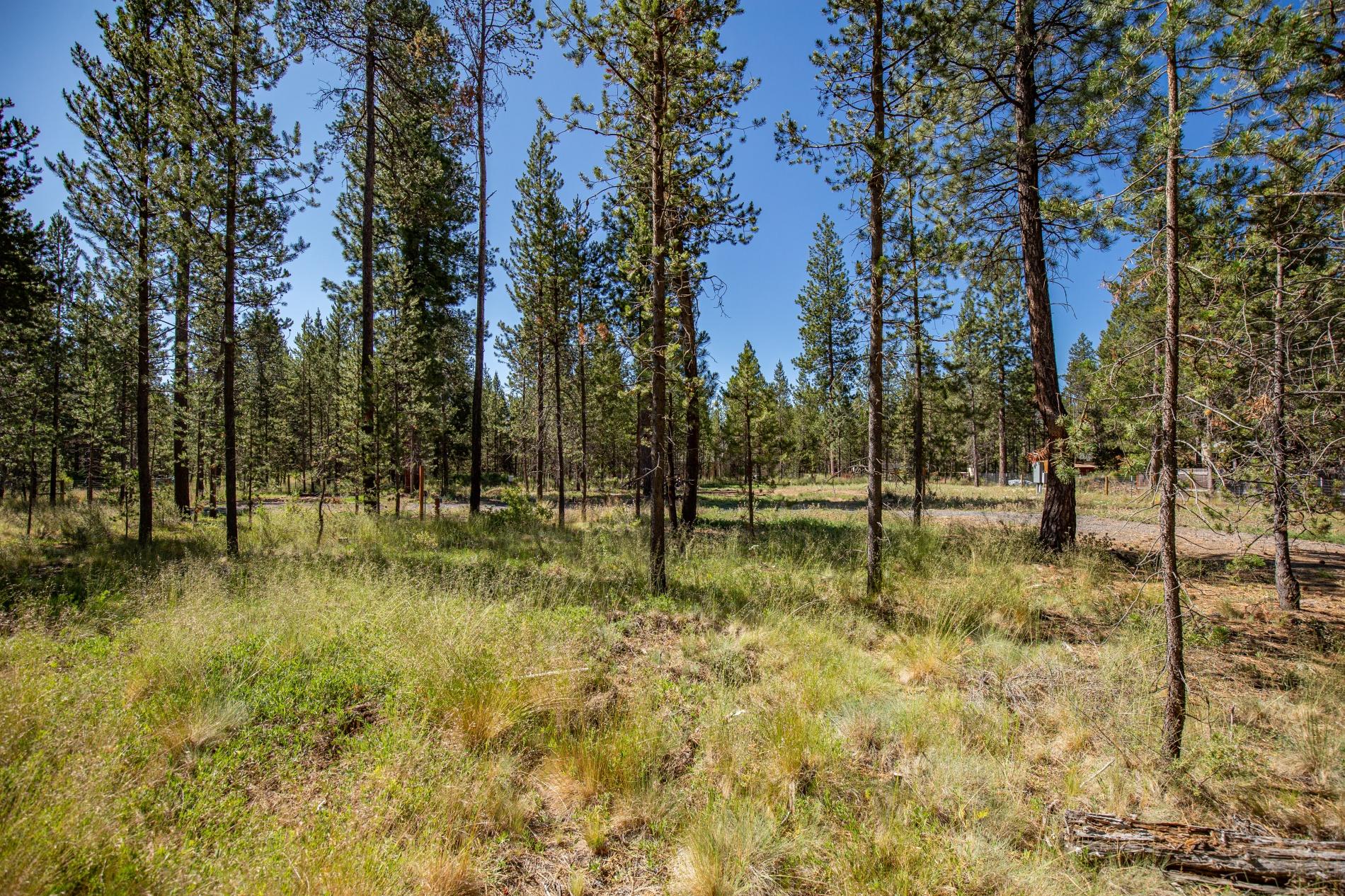 17315 Covina Road Bend, OR 97707 - Photo 13 of 20 batch_13