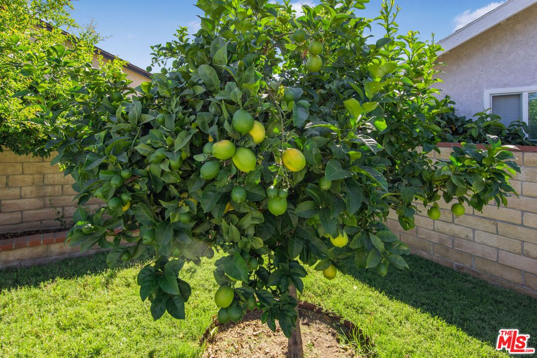 10151 Sharp Avenue Arleta, CA 91331 - Photo 25 of 25