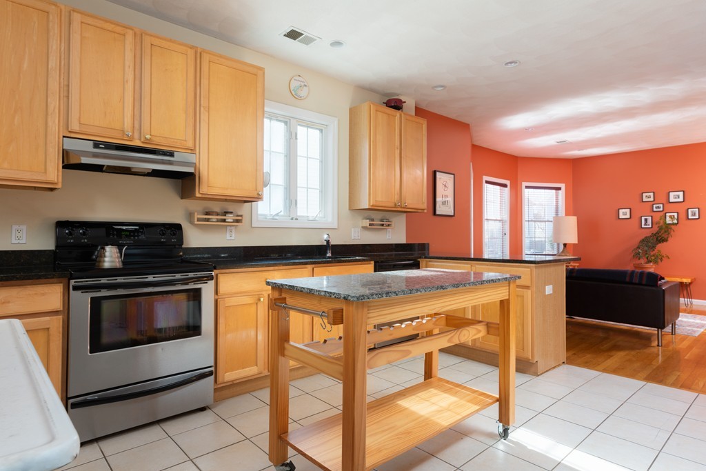 239 Spring Street, Unit 1 Medford, MA 02155 - Photo 5 of 21 Gallery Image 5