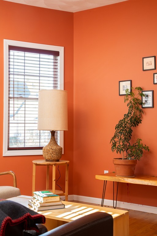 239 Spring Street, Unit 1 Medford, MA 02155 - Photo 8 of 21 Gallery Image 8