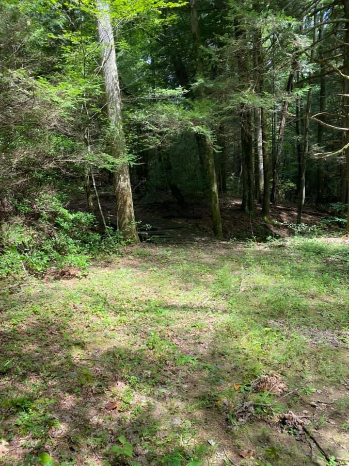 4444 Powder Mill Road London, KY 40741 - Photo 6 of 8 Photo 6