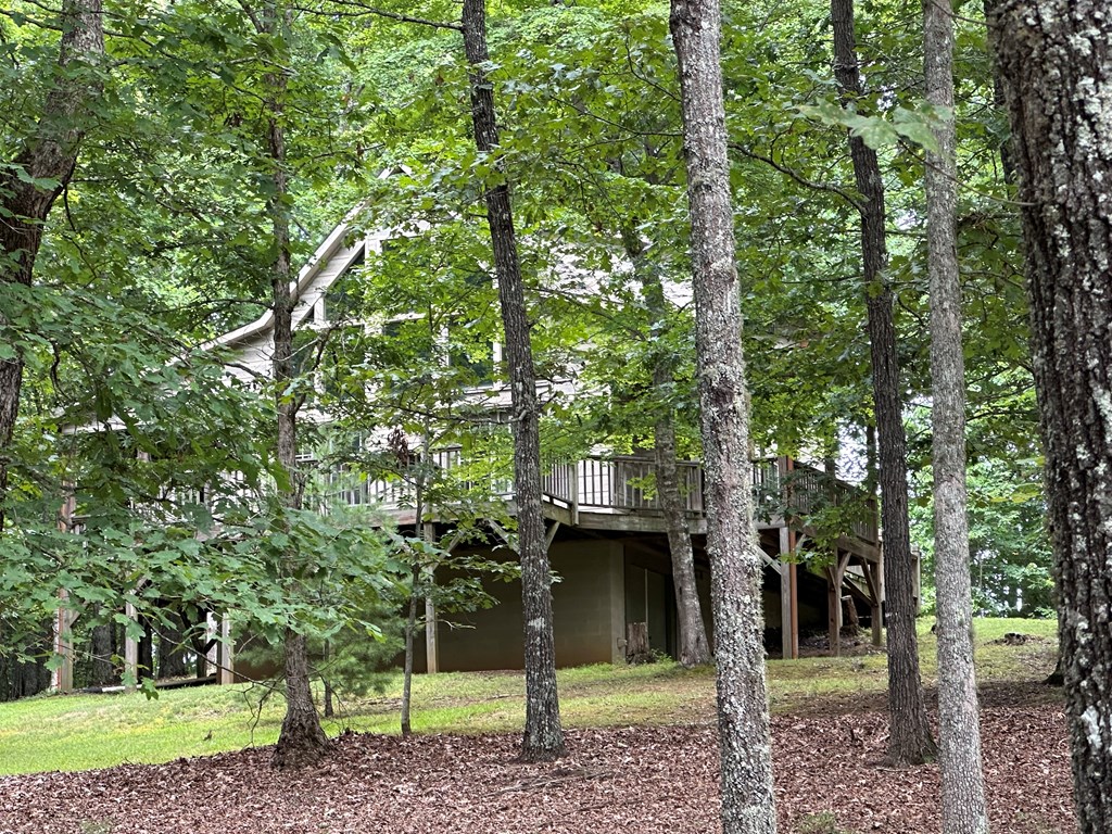 255 Raspberry Lane Murphy, NC 28906 - Photo 19 of 19 Gallery Image 19