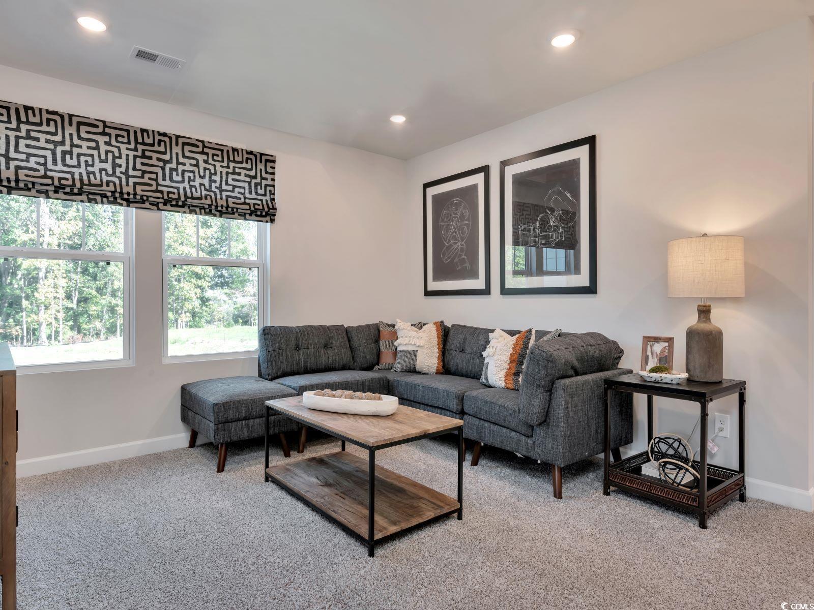 2417 Copper Meadow Loop Longs, SC 29568 - Photo 10 of 19 Gallery Image 10