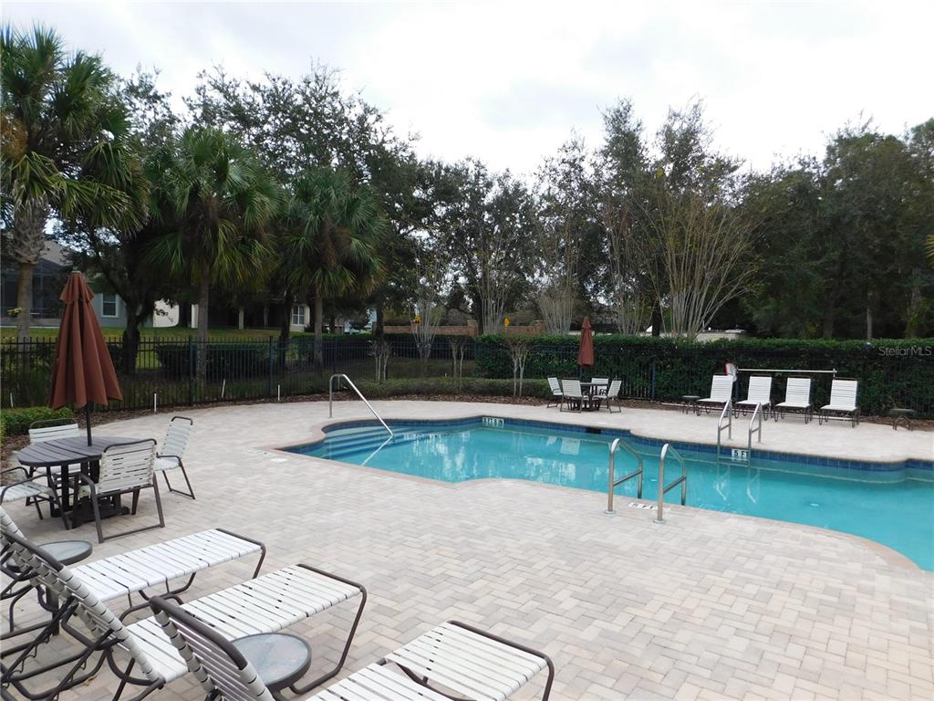 7167 Beek Street Windermere, FL 34786 - Photo 46 of 63 a view of a swimming pool with lounge chairs in patio