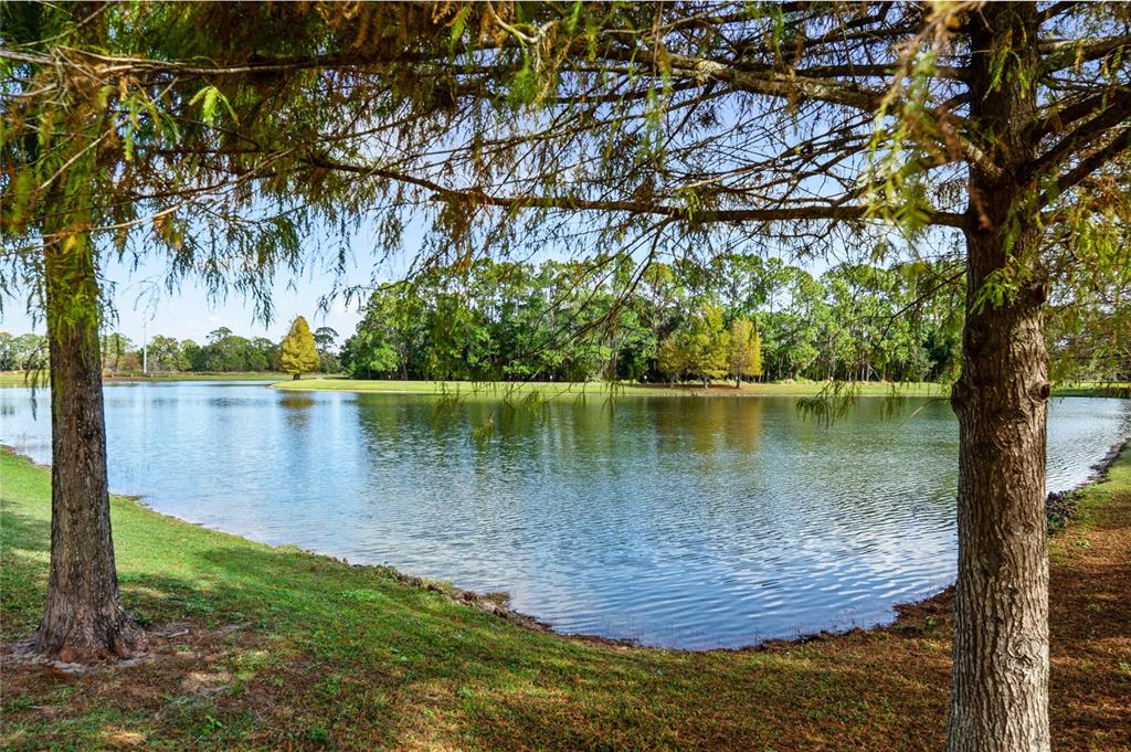 7167 Beek Street Windermere, FL 34786 - Photo 8 of 63 a view of a lake view with a large trees