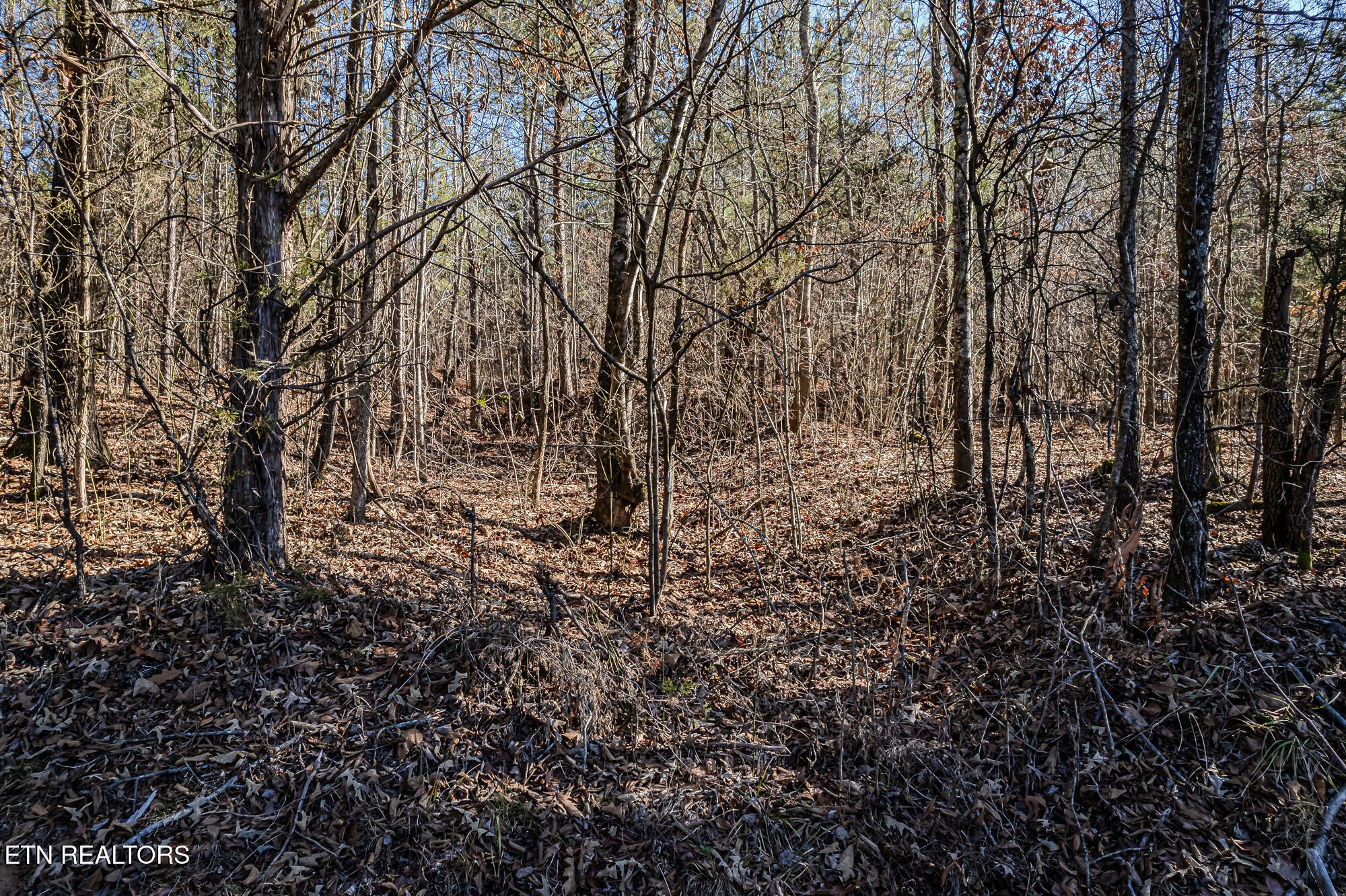 5 South NoPone Vly Road Athens, TN 37303 - Photo 5 of 12 Gallery Image 5