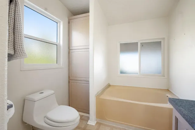 a bathroom with a bathtub and a toilet