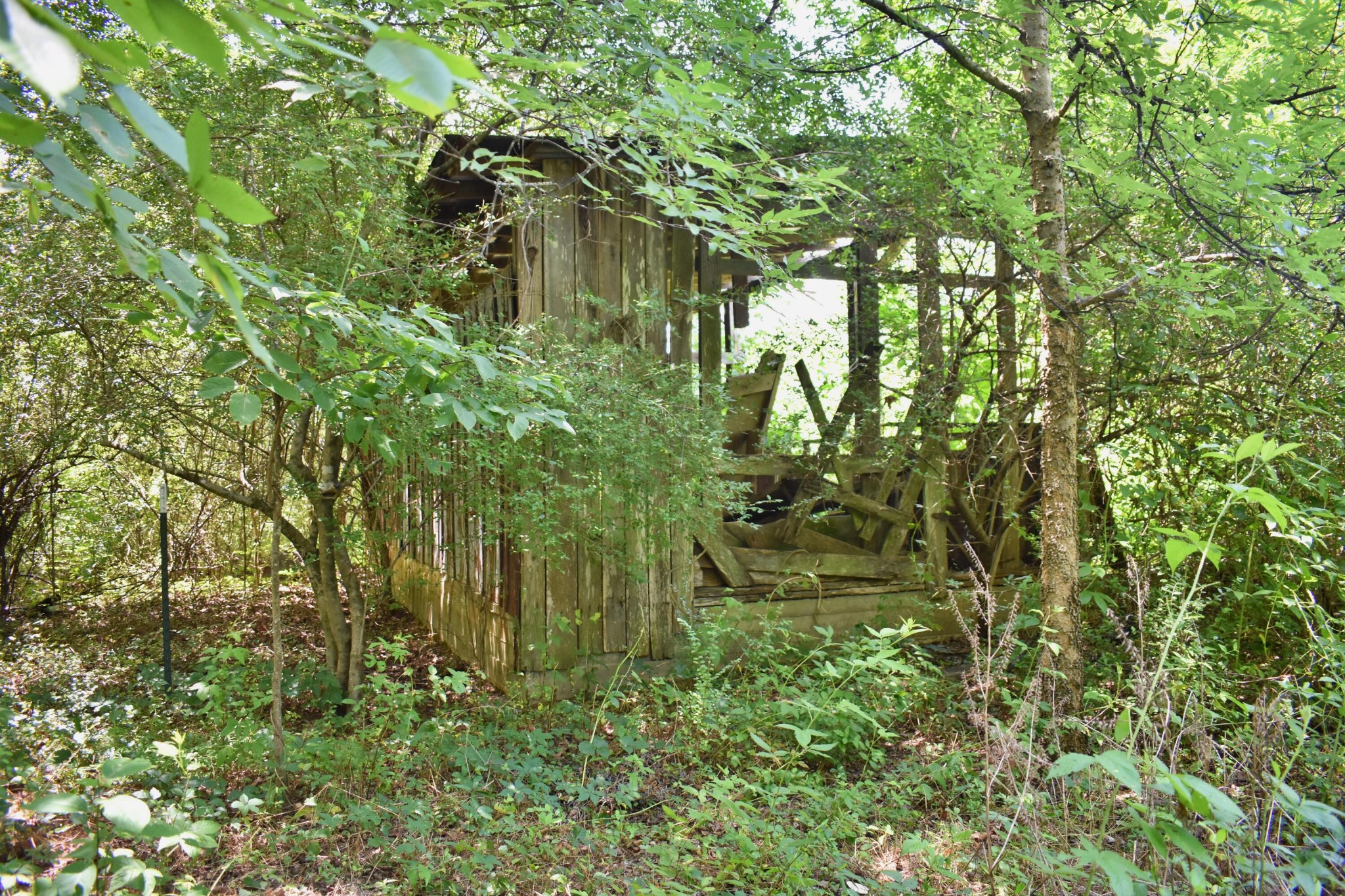 5858 Wolf Creek Road Spring City, TN 37381 - Photo 46 of 76