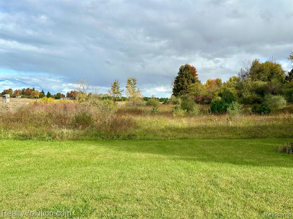 5436 Reynolds Road Marlette, MI 48453 - Photo 9 of 9