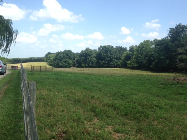 32165 Sassafras Road California, MO 65018 - Photo 40 of 42