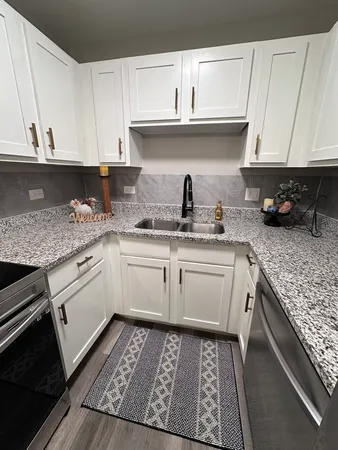 $2,000 | 2600 Light Road, Unit 207, Oswego, IL 60543