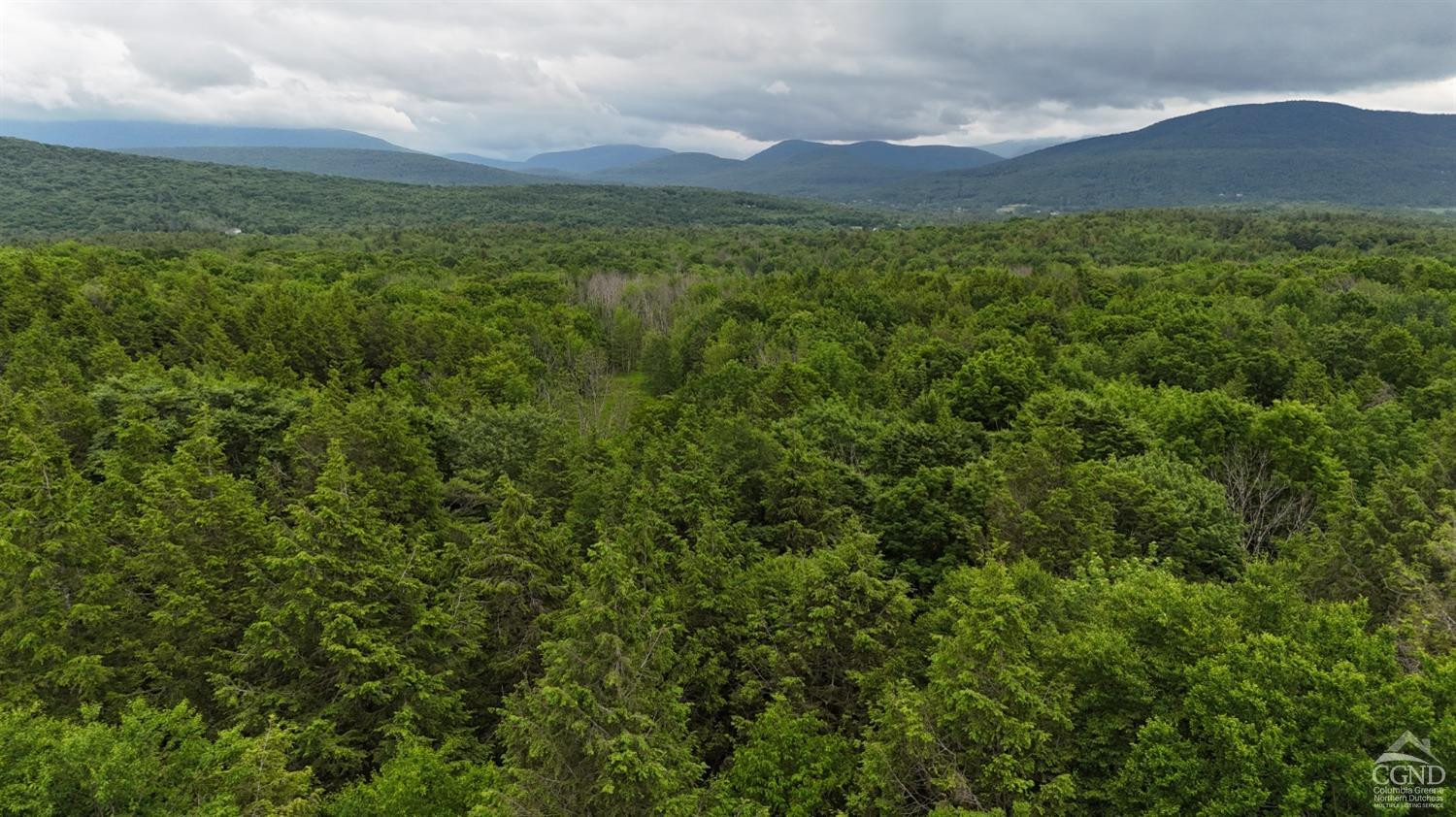0 Begley Road Windham, NY 12496 - Photo 17 of 21 Photo 17