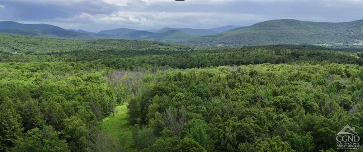 0 Begley Road Windham, NY 12496 - Photo 18 of 21 Photo 18