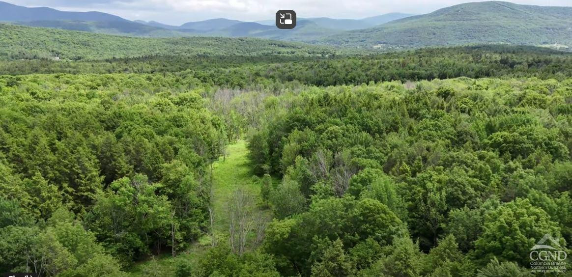 0 Begley Road Windham, NY 12496 - Photo 3 of 21 Photo 3