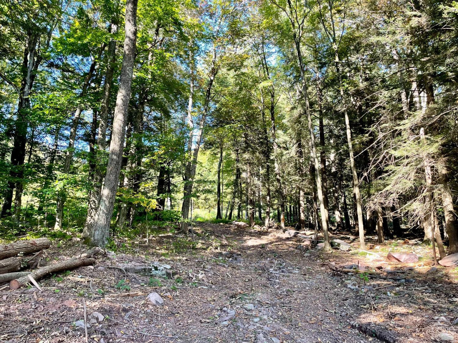 0 Begley Road Windham, NY 12496 - Photo 6 of 21 Photo 6