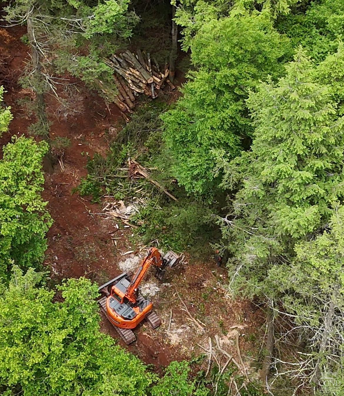 0 Begley Road Windham, NY 12496 - Photo 9 of 21 Clearing lot 77