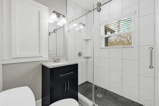 a bathroom with a sink a toilet a mirror and vanity